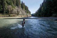 Humboldt County, California. (Image via Getty)